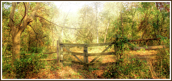 1woodenfencebyaruralroadautumnagurmankin.jpg