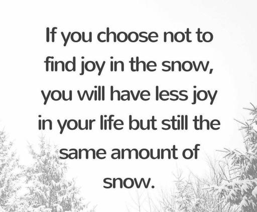 Snow Joy.jpg