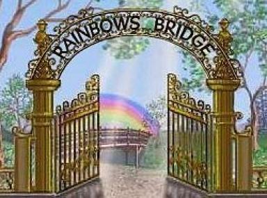 rainbow bridge.jpg