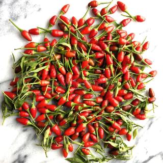 thai tiny red peppers.jpg