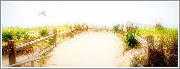 sanddunetrailhazysummerafternoonnewjerseyshoreagurmankin.jpg