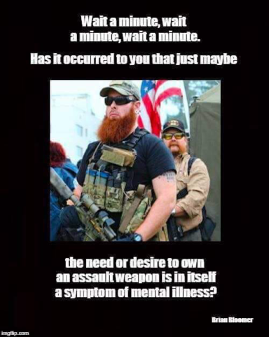 Gun Owners Are Mental.jpg