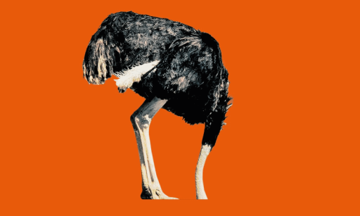 ostrich.png