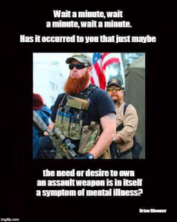 Gun Owners Are Mental.jpg 256