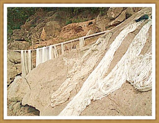 Langmei drying nets.jpg