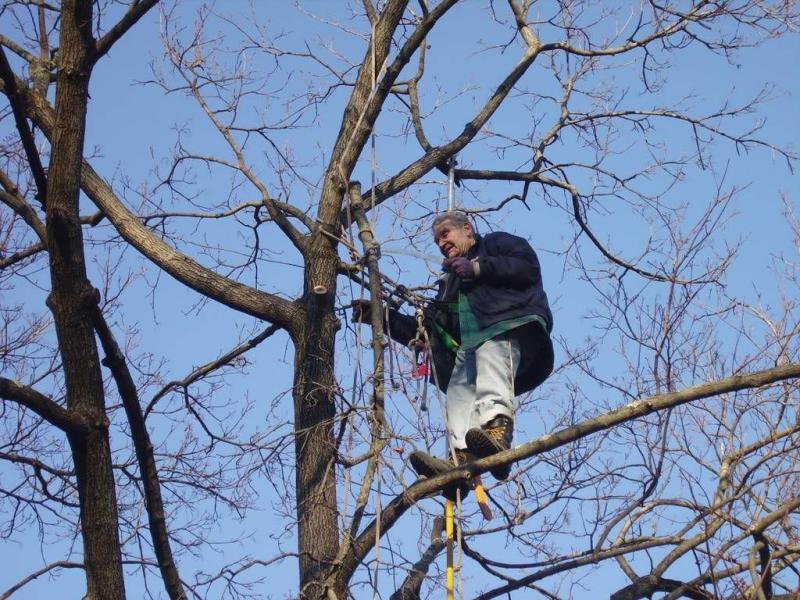 Dad lowering branch at 80.jpg