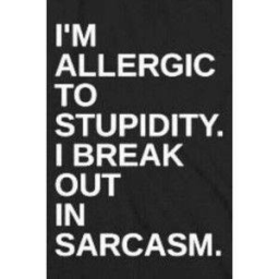 Sarcasm Allery.jpg 256