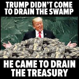 Trump Came to DRAIN the Treasury.jpg 256