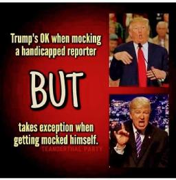 Trump Mocks a Handicap Reporter.jpg 256