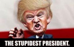 Trump - stupidest president.jpg 256