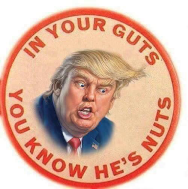 Trump In Your Gut U Know he is Nuts.jpg 384