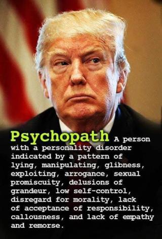 Trump Psychopathe Defined.jpg 320