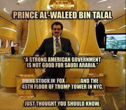 Fox TV CO-OWNER.jpg 256