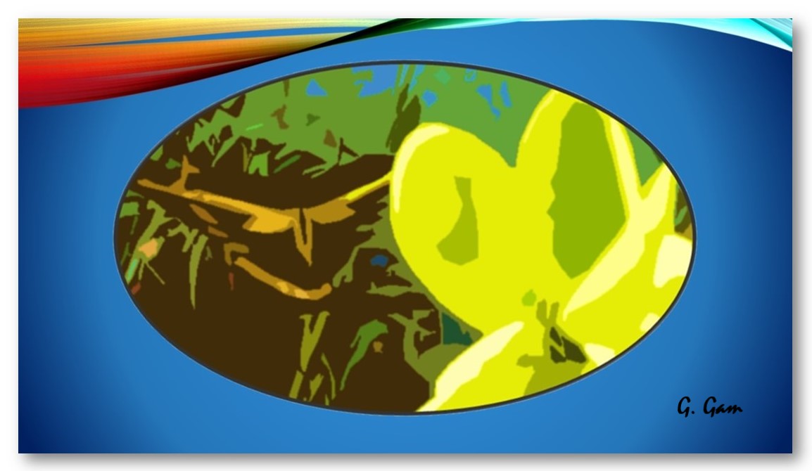 Butterfly 6.jpg original