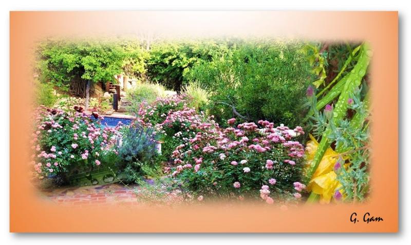 Backyard Fantasy.jpg 800
