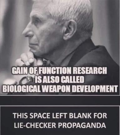 fauci-gain-of-function-biological-weapon-space-lie-checker-propaganda.jpg 384