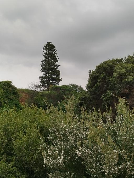 IMG_20221021_152718_HDR.jpg 512